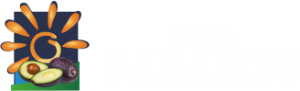 Finca Garabito